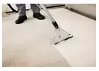 Carpet Cleaner Solution