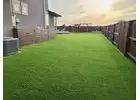 Artificial Lawn in Houston, Texas